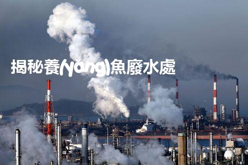 揭秘養(yǎng)魚廢水處理的革命性技術(shù)？